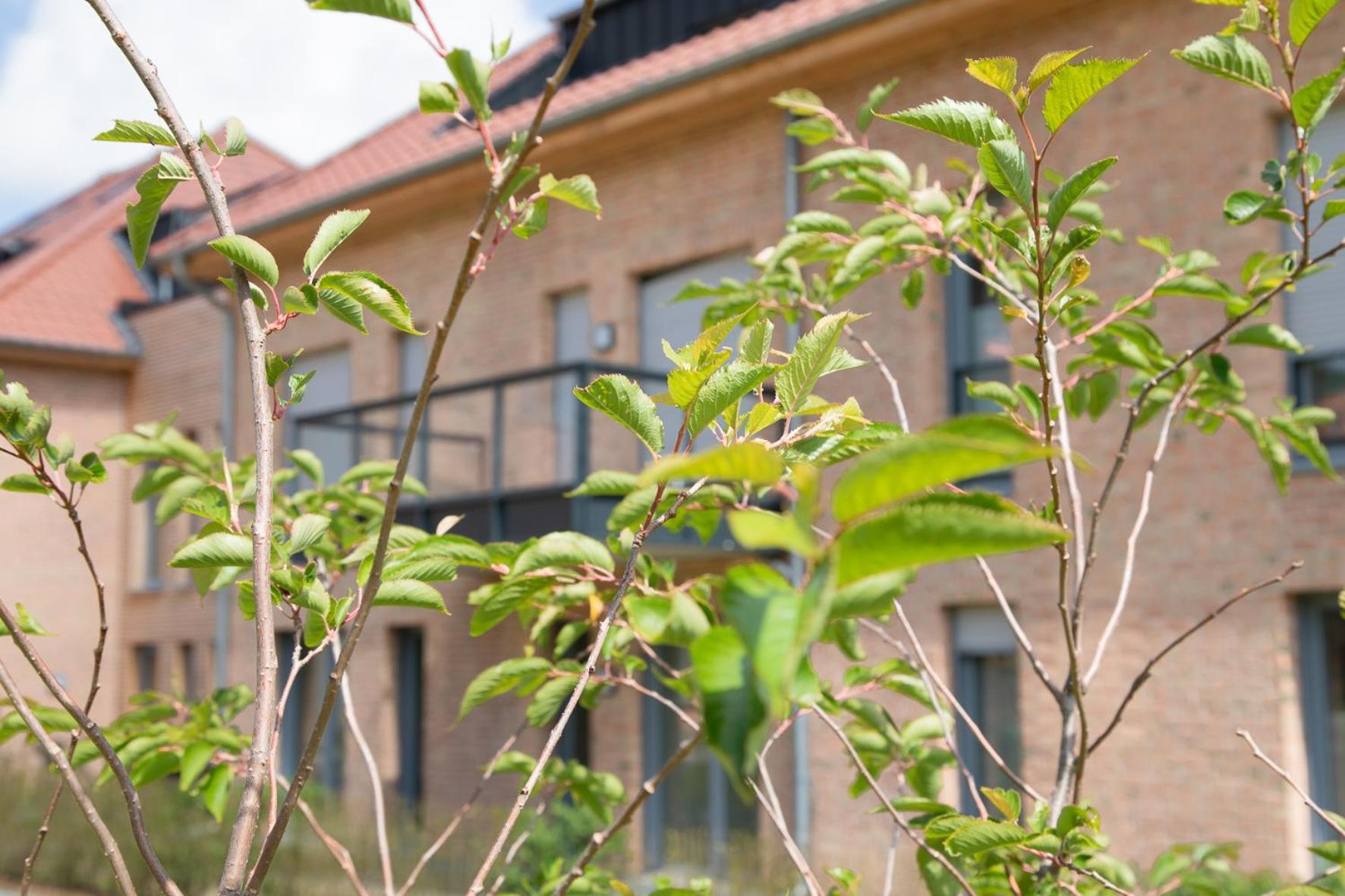 Wohnen Am Suedstrand - Ferienwohnung 1 1 Wyk auf Föhr Esterno foto
