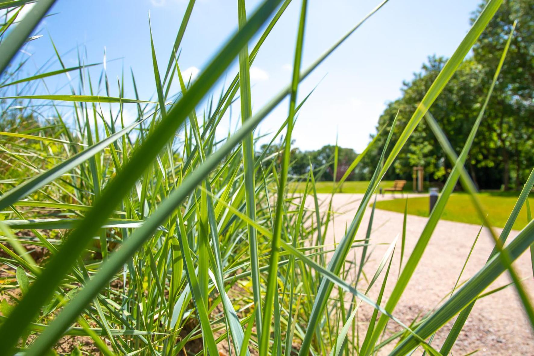 Wohnen Am Suedstrand - Ferienwohnung 1 1 Wyk auf Föhr Esterno foto