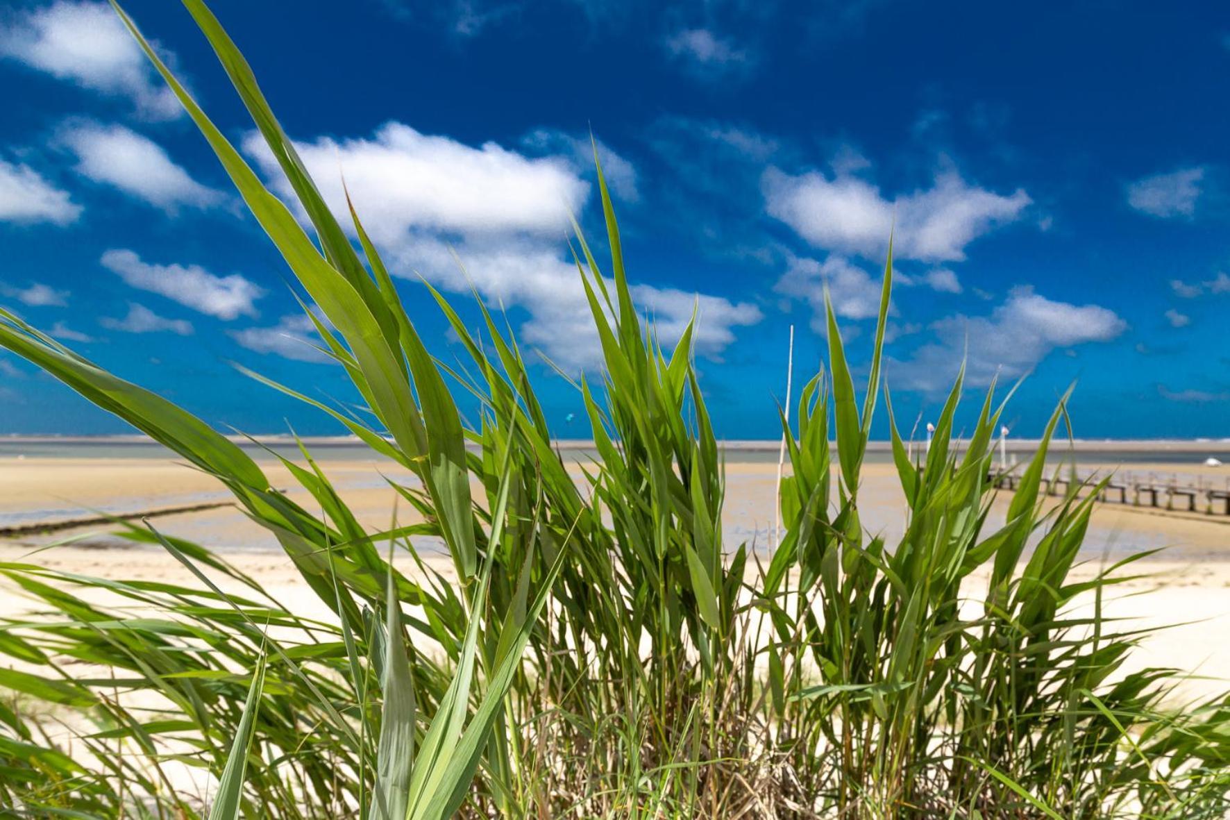 Wohnen Am Suedstrand - Ferienwohnung 1 1 Wyk auf Föhr Esterno foto